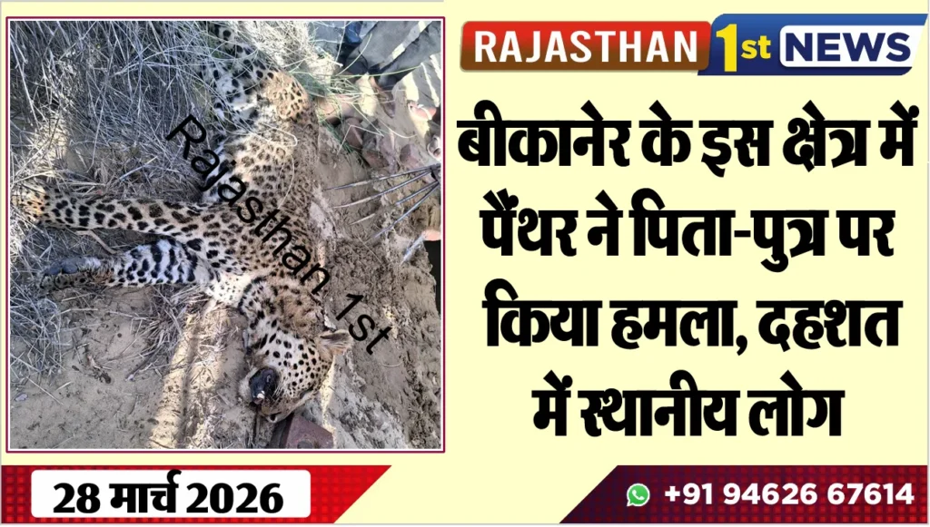 बीकानेर के इस क्षेत्र में पैंथर: ने पिता-पुत्र पर किया हमला, दहशत में स्थानीय लोग